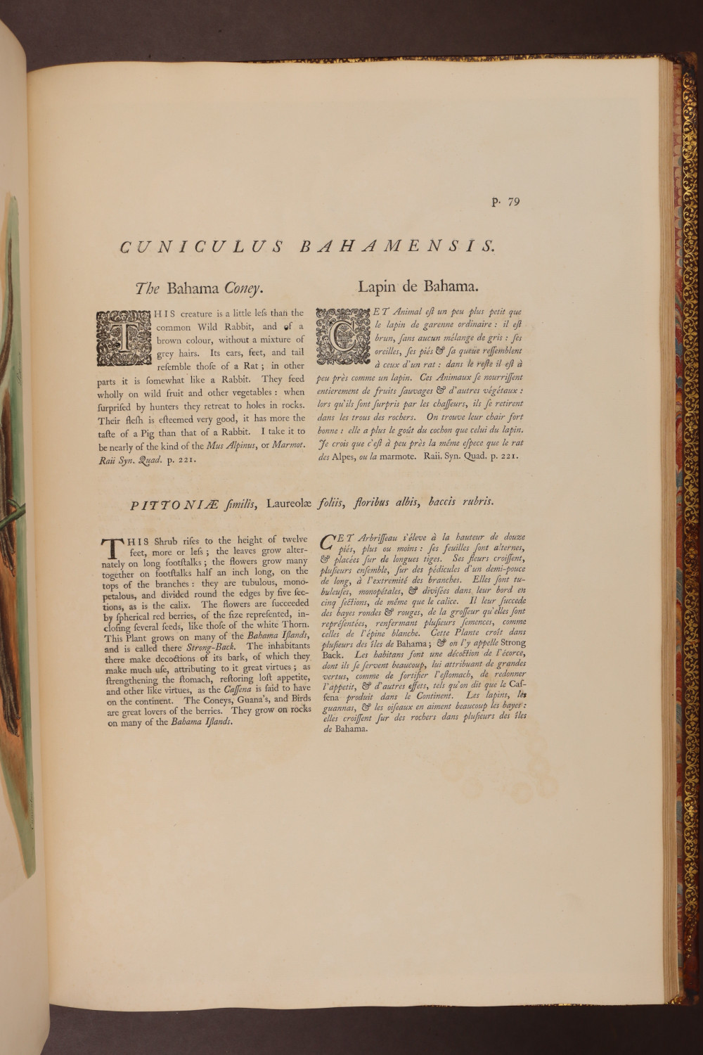 Page 79